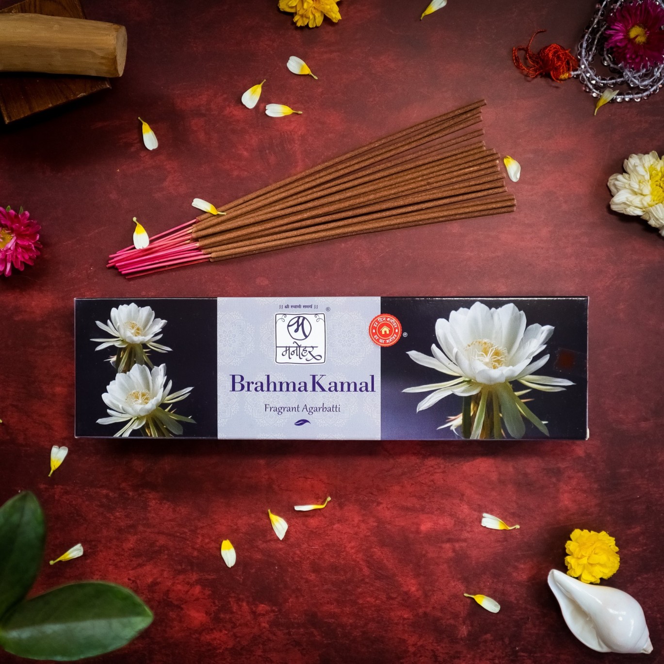 brahmakamal (1) (1) (1)