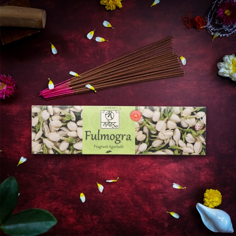 fulmogra (2) (1)